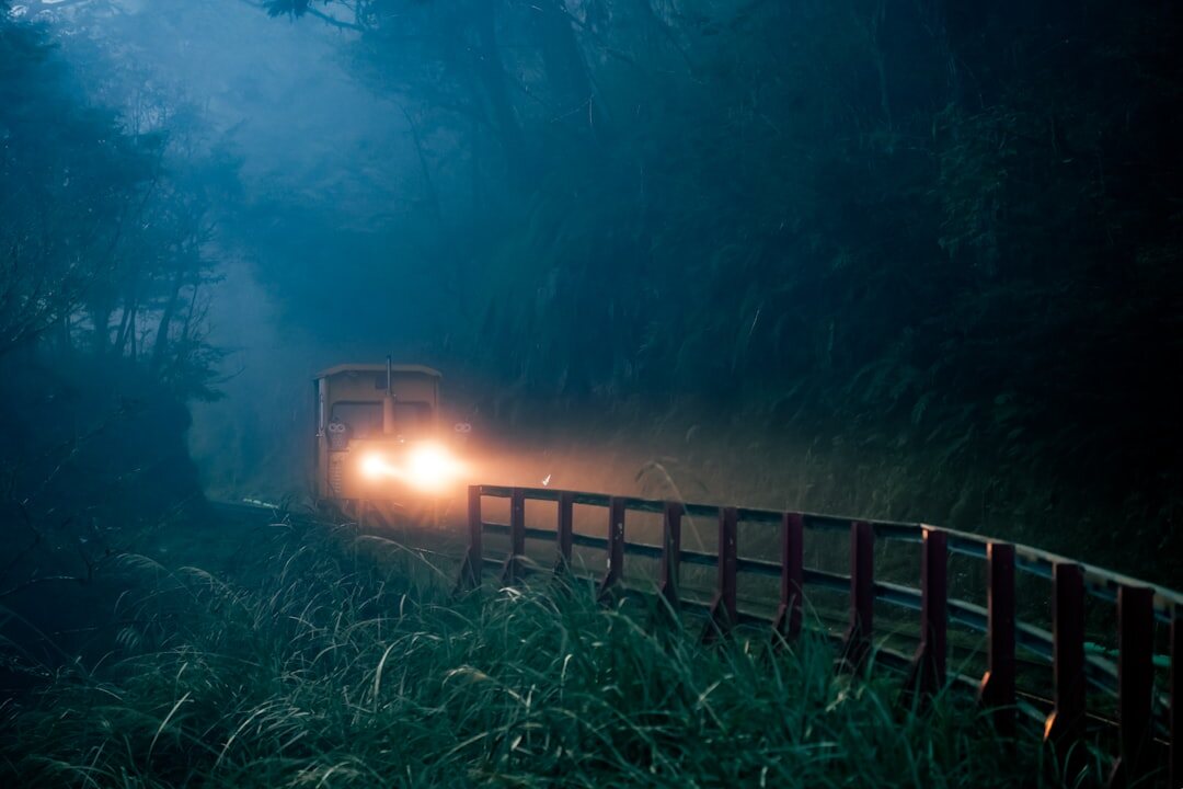 foggy forest path at night